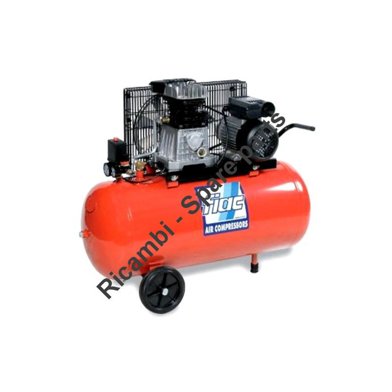 Ricambi Fiac per Compressore AB100/248 -338M