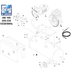 Ricambi Fiac per Compressore AB100/248 -338M