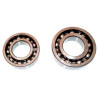 Radial Ball Bearings