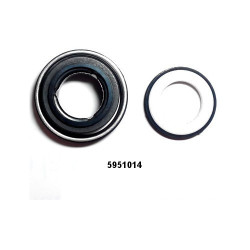 Complete Ceramics Seals for Petrol Pumps