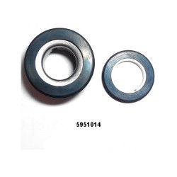 Complete Ceramics Seals for Petrol Pumps