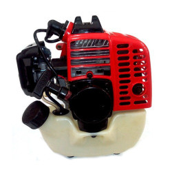 Motore Completo per Decespugliatore Valex DS42-TUCSON 26