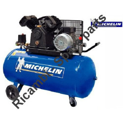 Ricambi Michelin per Compressore VCX 100