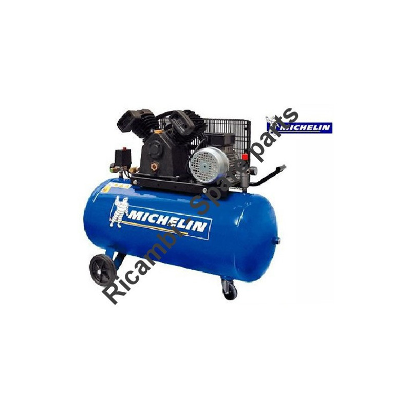Michelin Spare Parts for Piston Air Compressor VCX 100