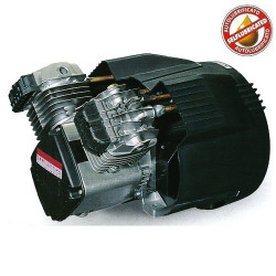 Gruppo Pompante per Compressore a Cinghia Mod. MK102/100 Lt