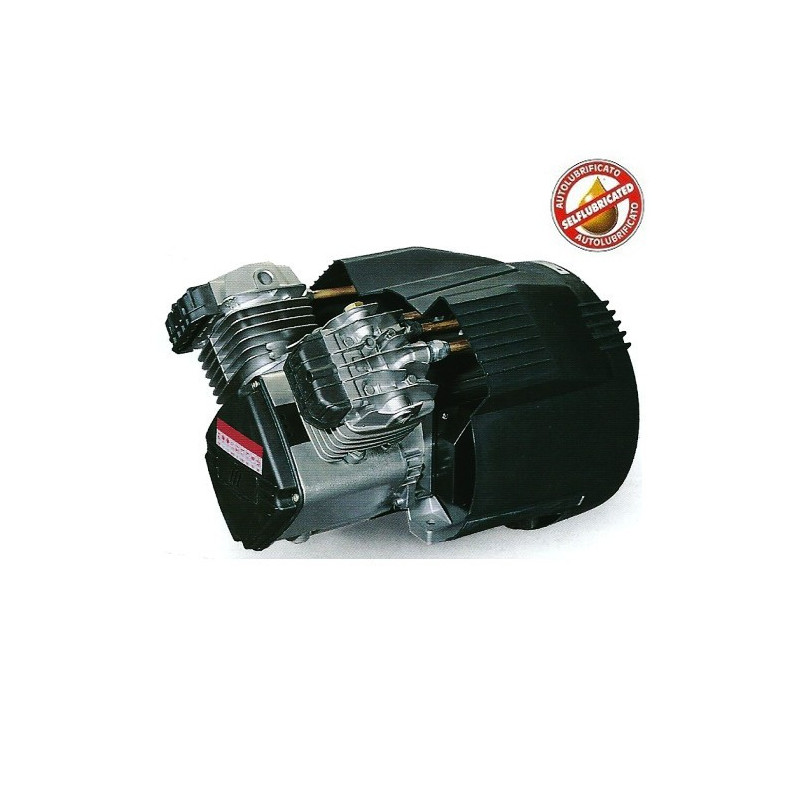 Gruppo Pompante per Compressore Autolubrificato VS 204