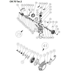 CM Motori Spare Parts for Motor Pumps CM70