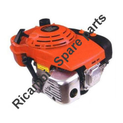 Ricambi CM Motori per Motopompe CM25-CM46/N