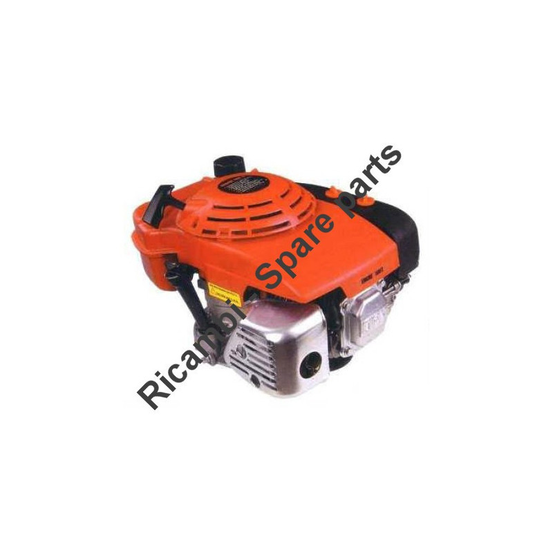 Ricambi CM Motori per Motori Benzina 4T LTV140-LTV140 FM
