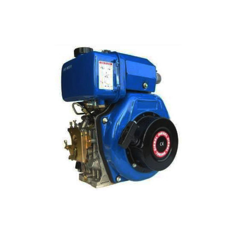 Ricambi CM Motori per Motori Diesel LA170