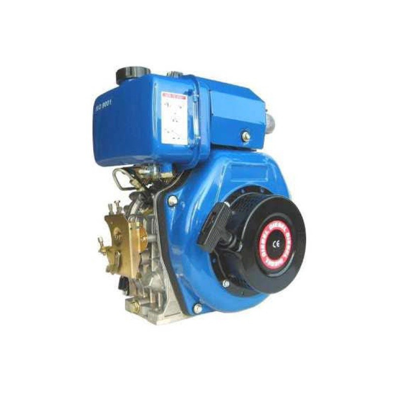 CM Motori Spare Parts for Diesel Motors LA186