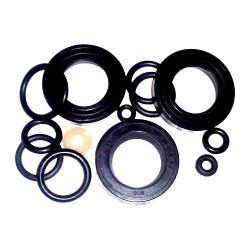 Kit Guarnizioni OR per Idropulitrici Valex Carry 2500