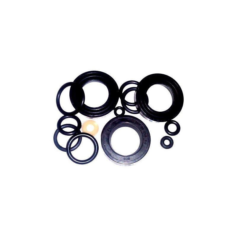Kit Guarnizioni OR per Idropulitrici Valex Carry 2500