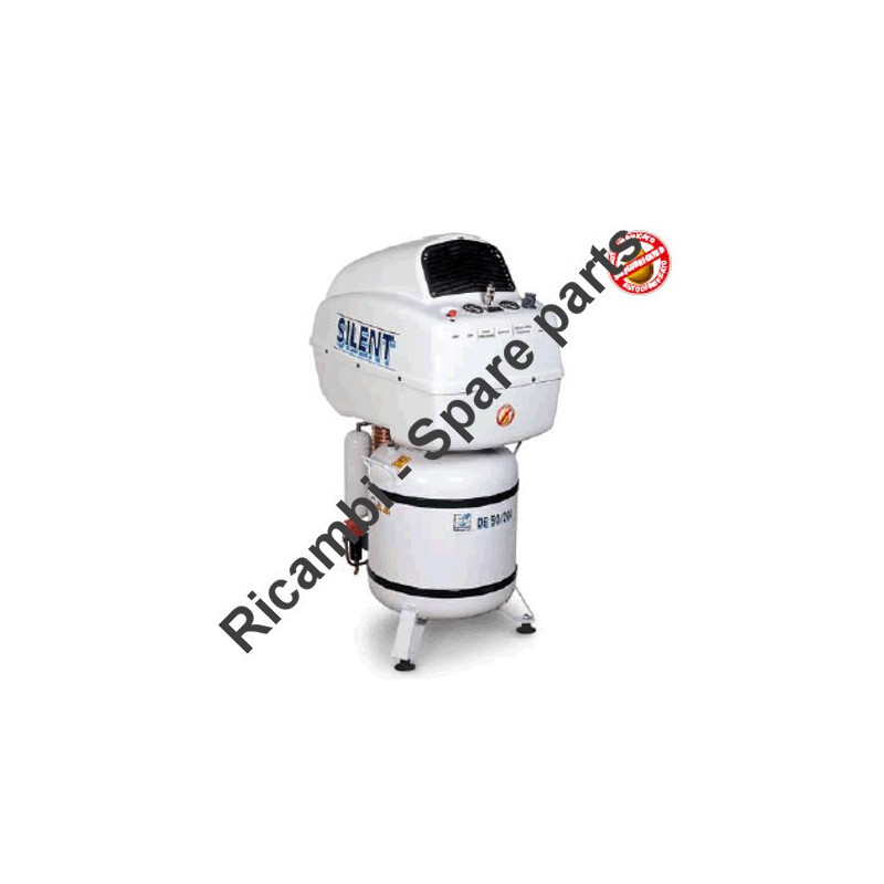 FIAC Spare Parts for Piston Air Compressor DE