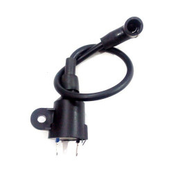 Bobina Alta Tensione per Generatore e Motopompa POCKET 1000-MP15000