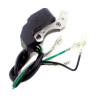 Bobina Accensione per Generatore 2 Tempi CM LT950