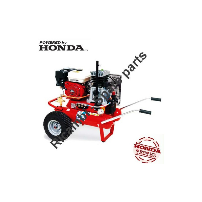 Ricambi Fiac per Motocompressore Agri 55 - AB410 - Honda