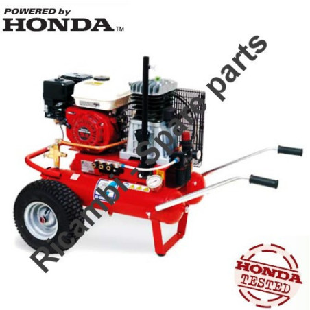 Ricambi Fiac per Motocompressore Agri 55 - AB410 - Honda