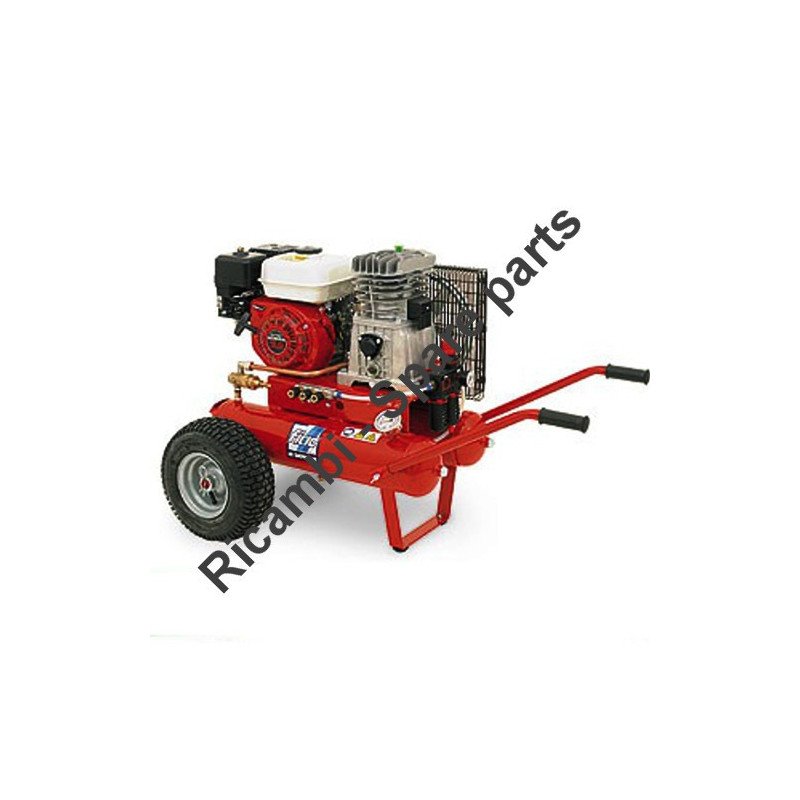 Ricambi Fiac per Motocompressore Agri 55 Diesel - AB410
