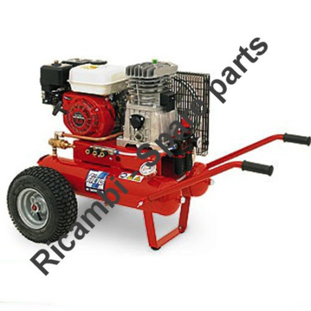 FIAC Parts for Petrol Engine Air Compressors Agri 55 Diesel - AB410