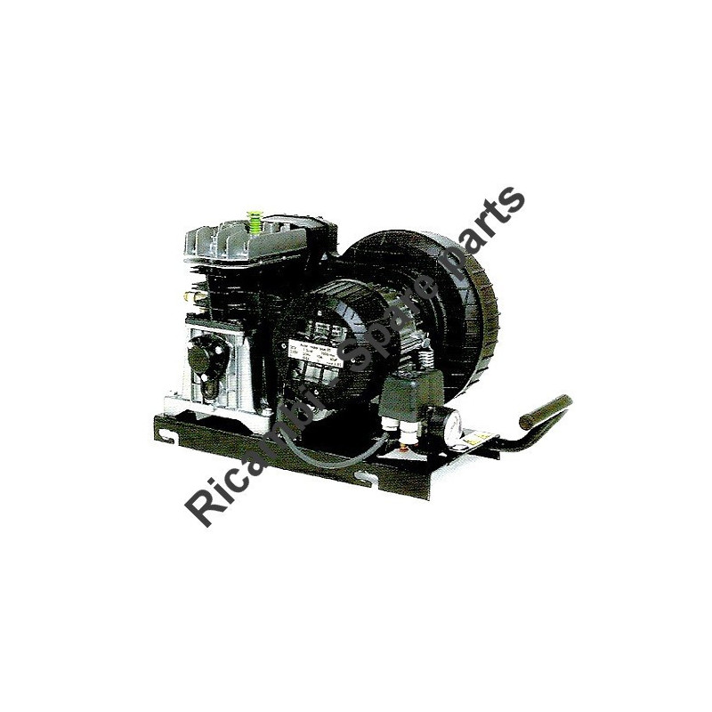 FIAC Spare Parts for Pumping Unit CCS 248-338