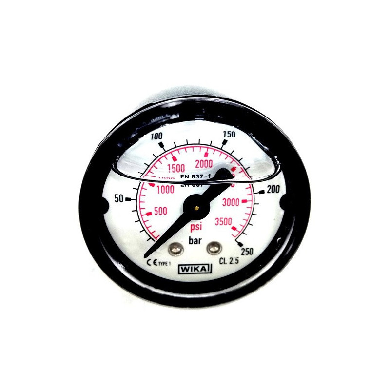 Gauge for Pressure Washers Annovi & Reverberi AR 1003-1003 RLW