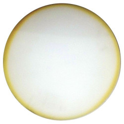 Ricambi Rurmec per Carteggiatrici P500-P1500