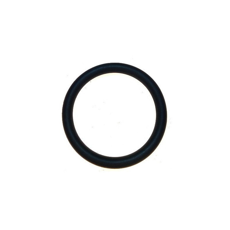 O-R Tappo Carico - Scarico per Motopompe 1'' 1/2 A.P. CM LTF40 e LDF40