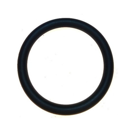 O-R Tappo Carico - Scarico per Motopompe 1'' 1/2 A.P. CM LTF40 e LDF40