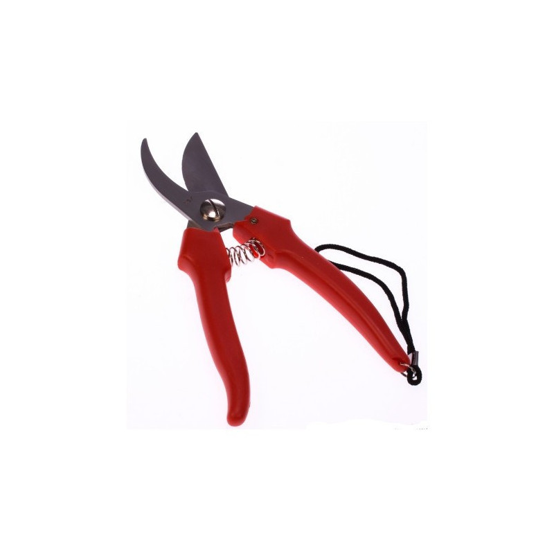 Forbice Cogliuva Falci Lama Curva INOX cm 19