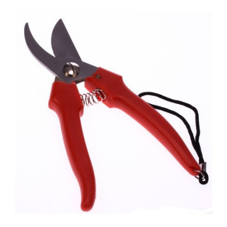 Forbice Cogliuva Falci Lama Curva INOX cm 19