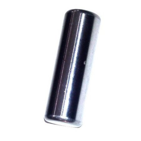 Piston Pin 12x38 for Sprayer Volpi & Bottoli Super Jolly 2002