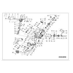 Ricambi Papillon per Motosega Ranger 46