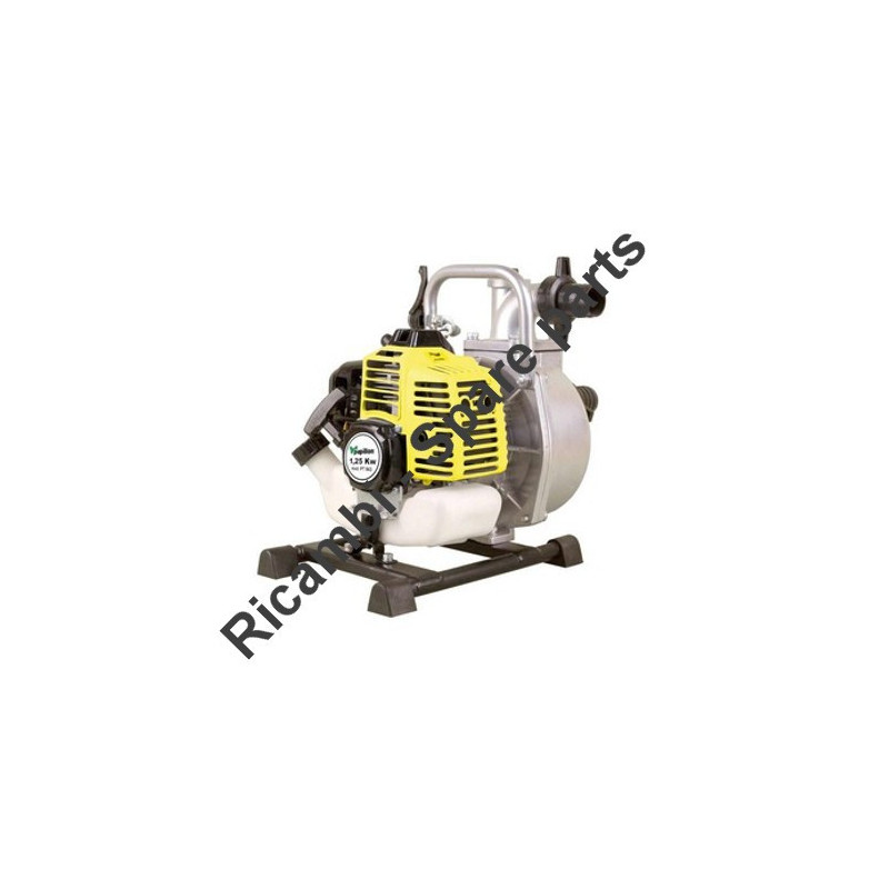 Papillon Spare Parts for Motor Pump PT 843