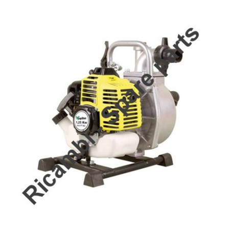 Papillon Spare Parts for Motor Pump PT 843