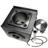 Cylinder Complete for Motor CM 80