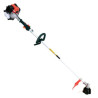 Decespugliatore Hitachi CG31EBS (LP)