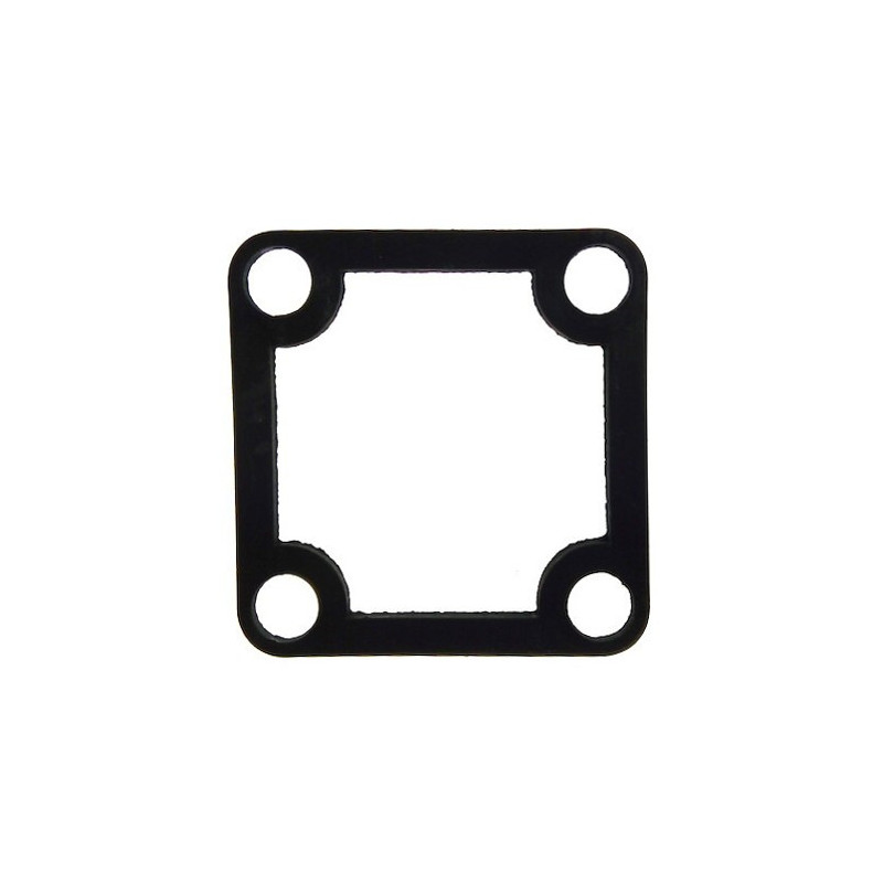 Guarnizione Mandata Pompa 2" Bassa Prevalenza LTP50 - LDP50