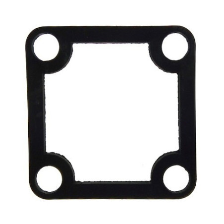 Guarnizione Mandata Pompa 2" Bassa Prevalenza LTP50 - LDP50