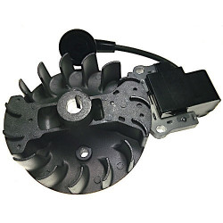 Kit Electronics Starting Coil for Brushcutter Valex Tucson 33LC
