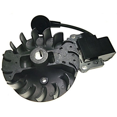 Kit Electronics Starting Coil for Brushcutter Valex Tucson 33LC