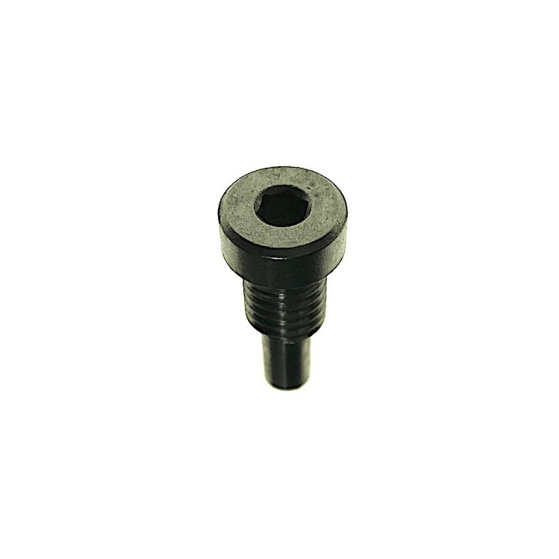 Ring Bolt for Sanders Flex WST 700 VV-WST 1000 FV