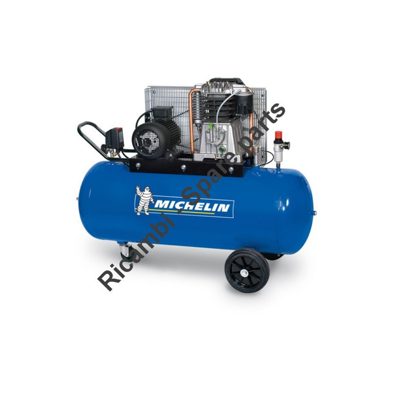 Michelin Spare Parts for Piston Air Compressor MCX 100