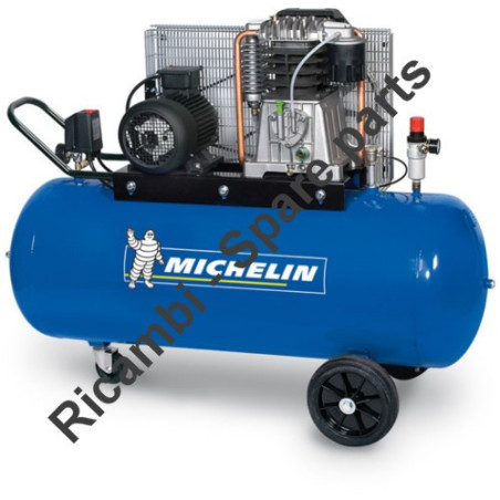 Ricambi Michelin per Compressore MCX 100