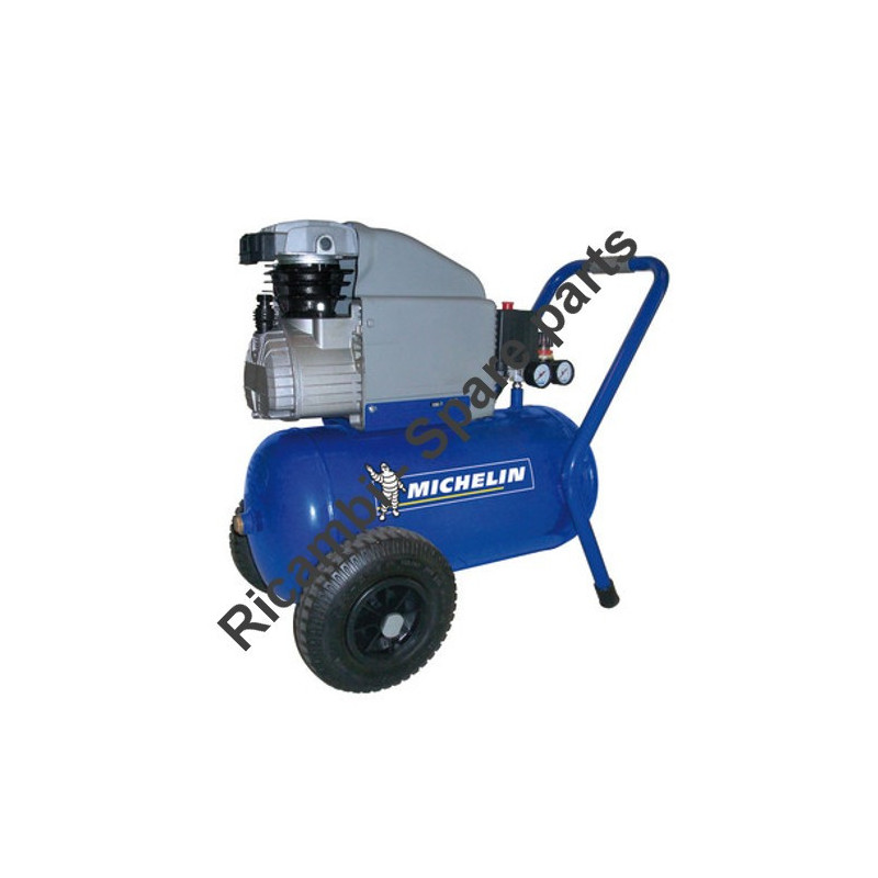 Michelin Spare Parts for Piston Air Compressor MCX 24
