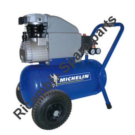 Ricambi Michelin per Compressore MCX 24