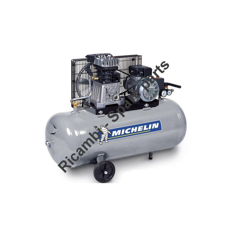 Michelin Spare Parts for Piston Air Compressor MB100