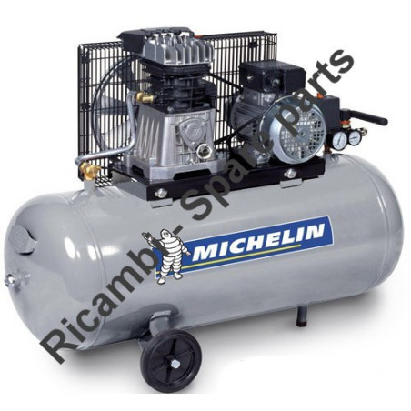 Ricambi Michelin per Compressore MB100
