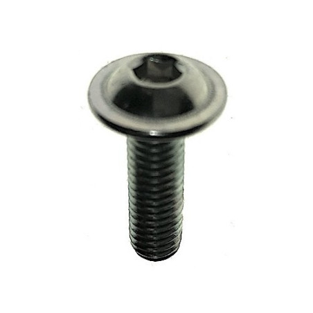 Head Ring Scew for Sanders Flex WST 700 VV-WST 1000 FV