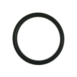 Guarnizione Chiocciola Autoadescante 1" per Motopompa CM 46 N